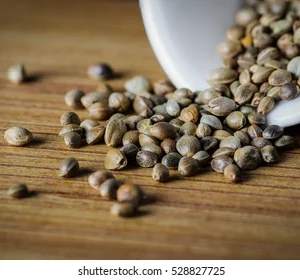 SEEDS