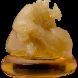 CONCENTRATES
