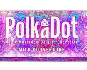 Polkadot-chocolate-bars-300x241-2.jpg