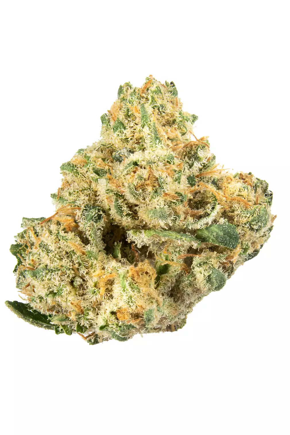 buy alien og weed buy alien og weed